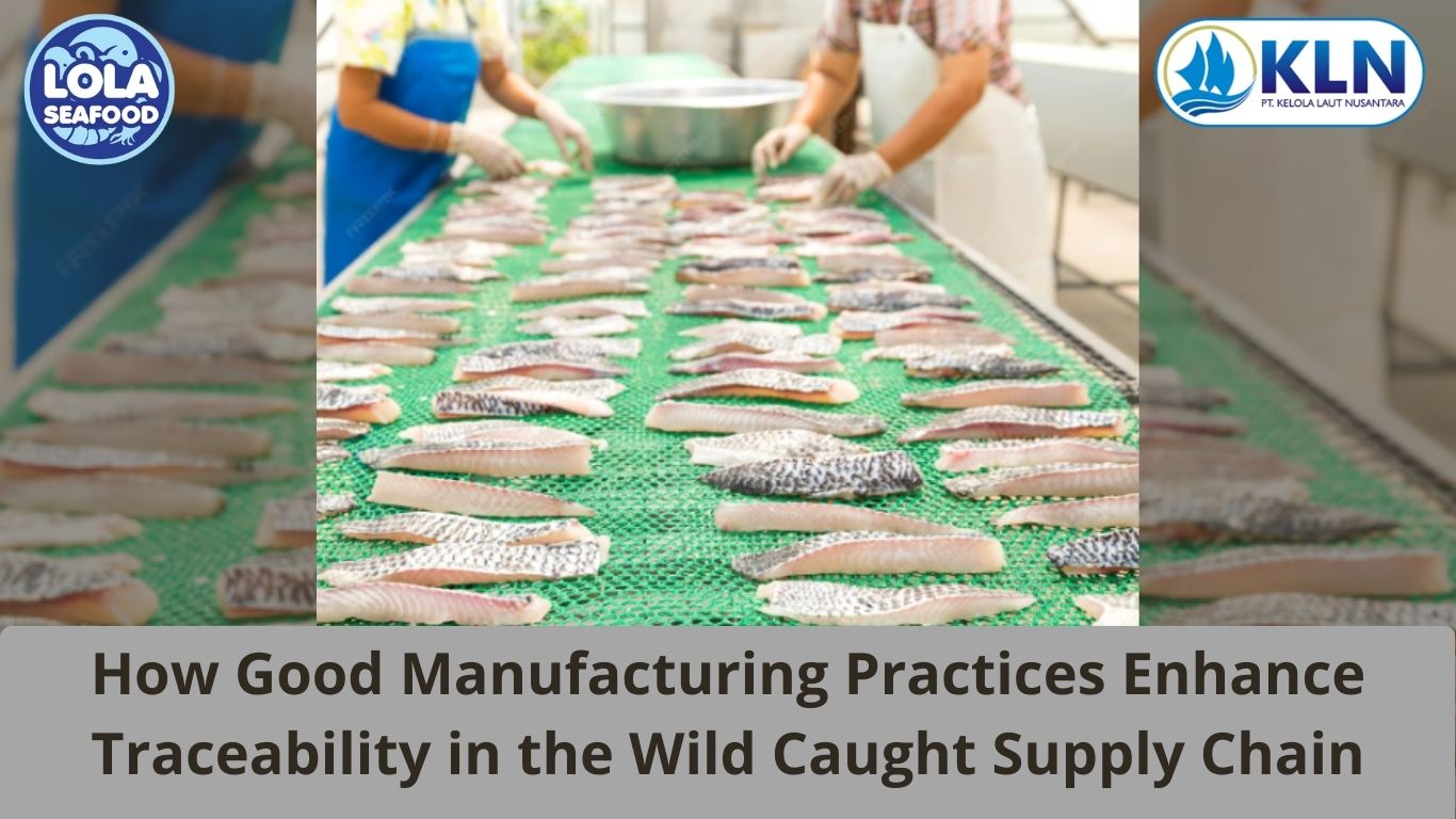 How Good Manufacturing Practices Enhance Traceability in the Wild Caught Supply Chain